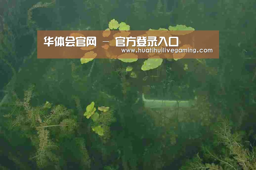 案例展示三(图1)