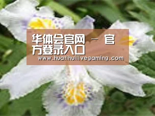 产品名称二