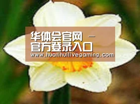 产品名称四