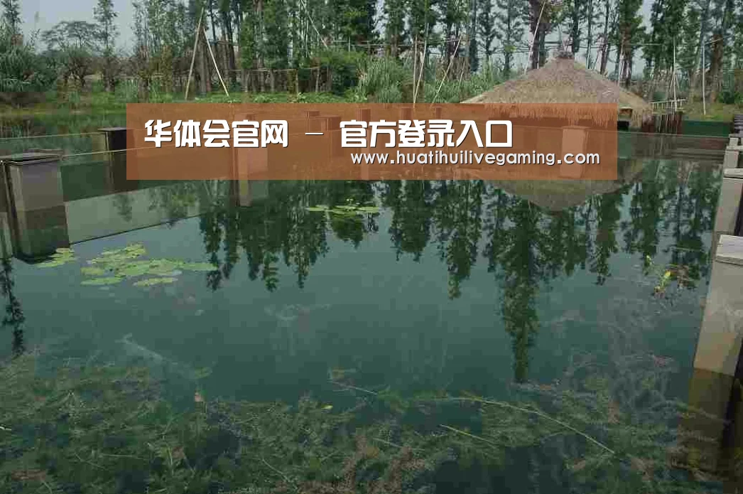 案例展示二
