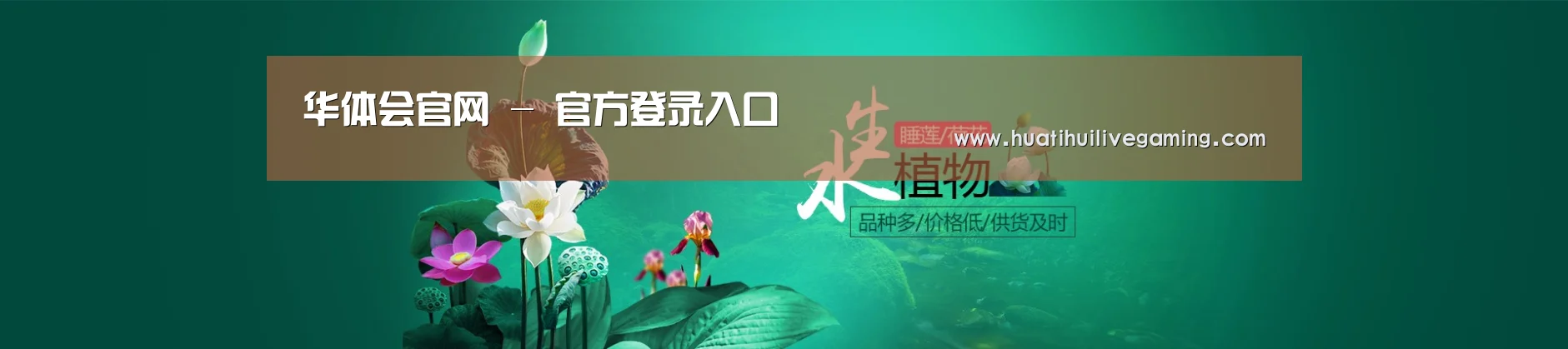 鲜花水草花卉网站模板