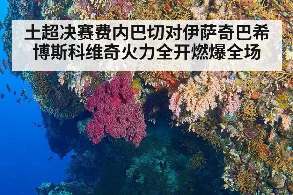 土超决赛费内巴切对伊萨奇巴希博斯科维奇火力全开燃爆全场