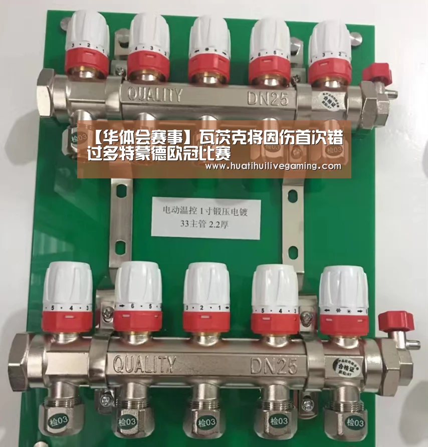 【华体会赛事】瓦茨克将因伤首次错过多特蒙德欧冠比赛(图2) 华体会娱乐