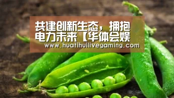 华体会体育