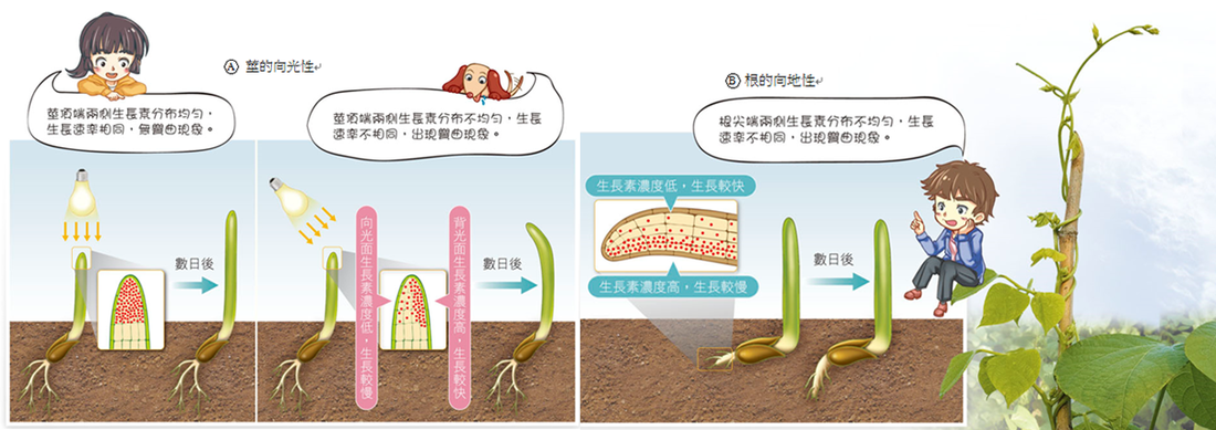 “华体会赛事”浅谈莱万多夫斯基未來去与留(图2) 华体会APP